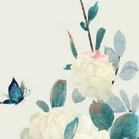 属猴下半年真的离婚吗 天喜吉星庇佑寻得真爱