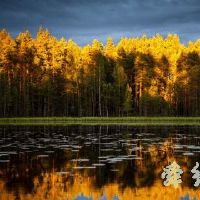 好听的微信名字大全