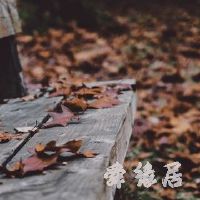 前任3插曲叫什么名字