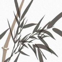 合八字合了6个字代表什么 两人八字不合思想不同