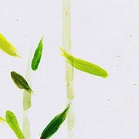 女人身上的富贵痣都有哪些 嘴角有痣能聚财