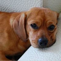 我不爱，这些星座每天都感觉很累。