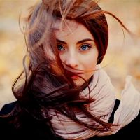 爱情讲述了真相，是最高可信度