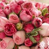 有创意的花艺工作室起名大全