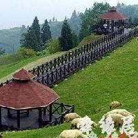 家庭农场名字大全