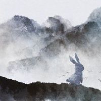 兔子是什么时候制作财富40和45财富？