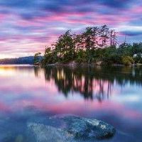 柳树适用于什么颜色配件