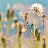 五个元素是幸运的人穿什么幸运的人