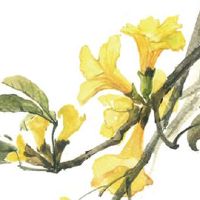 命犯太岁怎么破解 戴白玉髓平安扣化凶遇吉