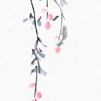 2022年清明节高速公路免费时间 这天天气气候分析