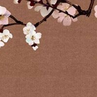 清明节出生的女孩有福吗 此日生积得四方财