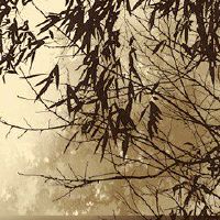 八字祝愿婚礼经典祝福