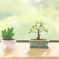 情绪化的道歉非常糟糕。