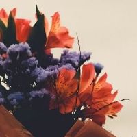 2022年农历六月十一日子吉利吗 是结婚嫁娶吉日么