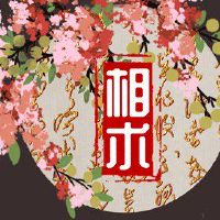 女性的脸一只眼睛