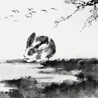 87年的兔子到财富是什么时候?