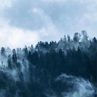 冬季月几个月？为什么有一个月？