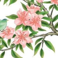 属虎今年本命年搬家好还是明年好 属虎人买房注意事项