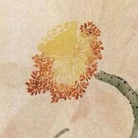 夫妻宫四化看配偶来源 配偶宫化科入命宫可白头偕老