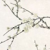 医院名字起名大全参考 经典高尚的医院名