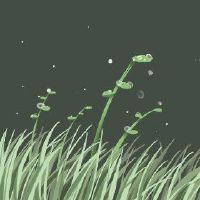 九天下午5点的油门气候特征