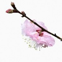 五行穿衣分享:2022年7月7日小暑穿什么颜色提运