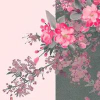 2022年10月2日生肖冲煞: 今日冲什么生肖