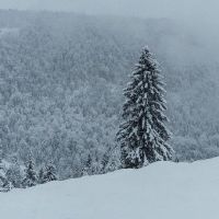 2019年7月27日出生时如何给出名称，她的五个元素是什么？