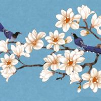 111的车牌号吉利吗 走运吉利的车牌号码