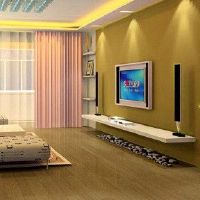 我能在家做什么？