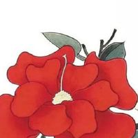 出嫁女儿过年回家带什么礼物 父母过年新衣必不可少