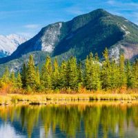 第一个月的第一个月的生日的命运如何？