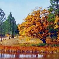 有强大的气田人的特征是什么？