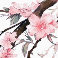 新婚夫妻回门有什么讲究 回门衣服可以随便穿吗