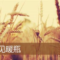 梦想着温暖的瓶子