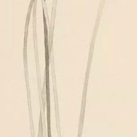 男人身上有龙气的特点 龙气也就是富贵之气