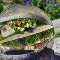 邑师姐12黄道带一周财富（3.21-3.27）