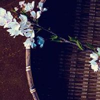 面相具有贵气的女人 鼻子高挺有肉