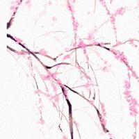 92年猴男92女猴婚姻好不好 缘分匪浅一见如故