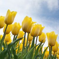 2022年6月23日，是婚姻的婚姻吗？