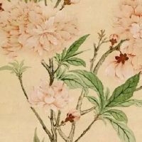 清明节有什传统风俗和讲究 踏青代表生活如意幸福