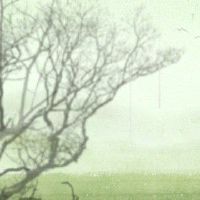 谷雨养生保健 饮食注意运动提高免疫力