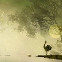 2022年少女八个字符的数字神致敬幸运的婚姻