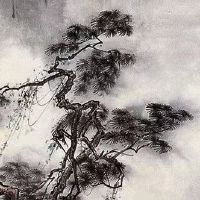 2023年兔子几月份好 二五八月好命理