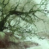 2022年,可以发送大财富的八个性格财富不断飙升。