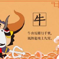 97年的公牛是最好的婚姻财富?建议黄道带牛婚姻