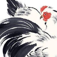 鞋店取名简单大气点的 简洁招财店铺名称