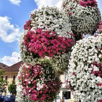 三个星座决定性，我宁愿是两个段落，我永远不会被打破！