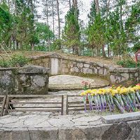 2022年，农历新年的一天适合埋葬？