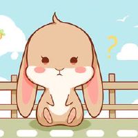 1963年，出生在兔子的人数超过2023岁并分析。